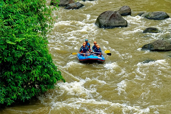 Tour Operators in Kozhikode