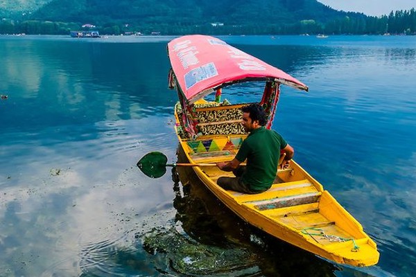 Tour Operators in Kozhikode